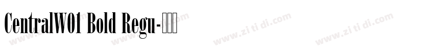 CentralW01 Bold Regu字体转换